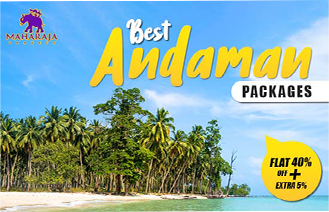Andaman Budget Tour Packages